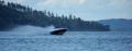 dsc_1039.jpg